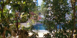 Rosevale (D11), Apartment #177655202